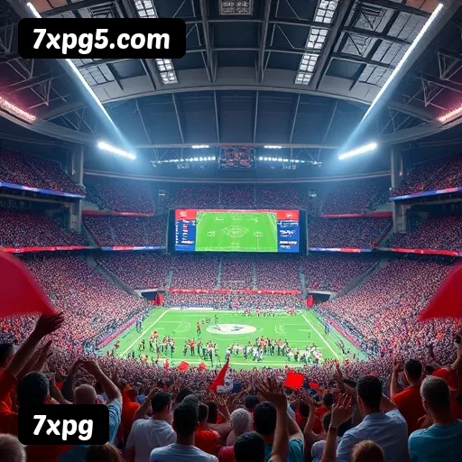 Termos e Condições Transparentes 7xpg